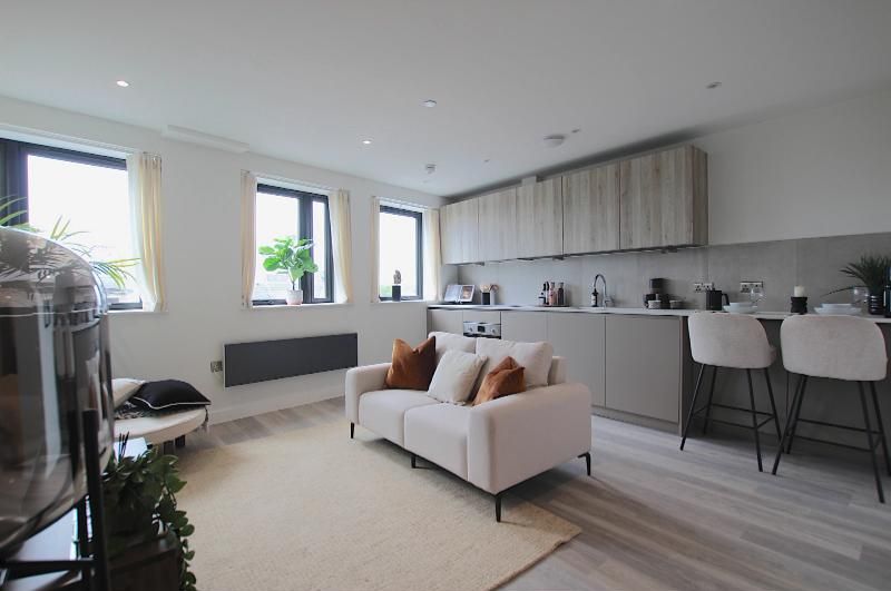 Open-plan living room and kitchen in a modern flat